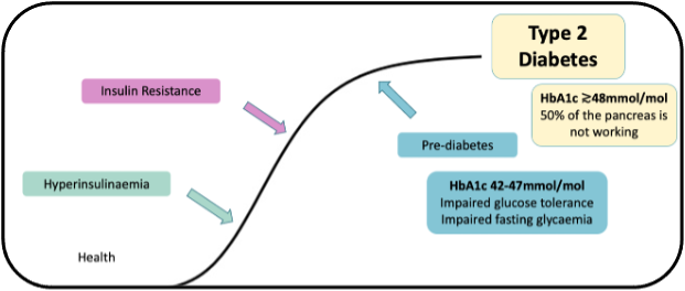 Chart showing that type 2 diabetes doesn’t start suddenly, with changes occurring even 20 years before symptoms