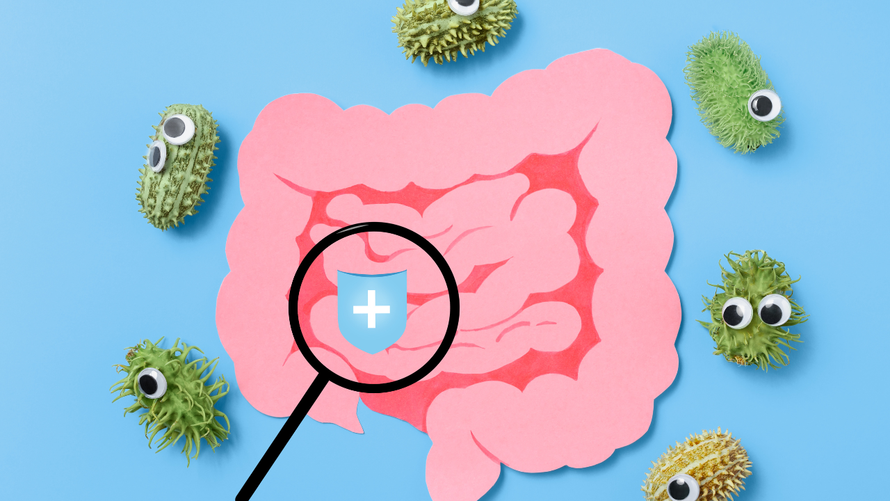 Visualization of the gut microbiome, highlighting the importance of gut diversity for weight management and type 2 diabetes prevention