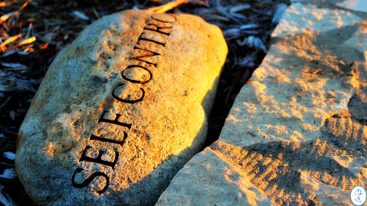 Stone with 'self control' printed on it, symbolizing discipline for reversing type 2 diabetes